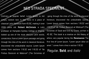 Neo Strada, a Sans Serif Font by Differentialtype (Thumbnail 9 of 9)