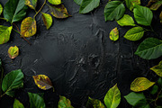 99 Frames of green leaves, a Nature Photo by Handmadefont (Thumbnail 95 of 100)