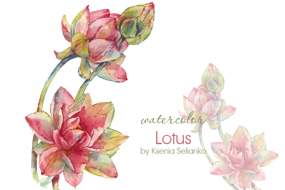 Watercolor Lotus, an Illustration by Ksenia Selianko (Photo 2 of 2)