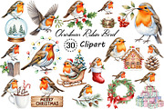 Christmas Robin Bird PNG Clipart, an Illustration by Creative Art (Thumbnail 1 of 10)