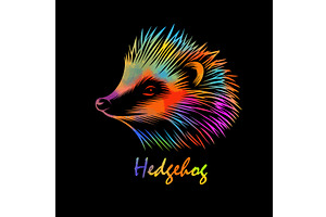 colored hedgehog on a black, an Object Illustration by Nenahliadava Design