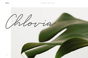 CHLOVIA - Keynote Brand Guidelines, a Presentation Template by Elokka Std. (Thumbnail 2 of 12)