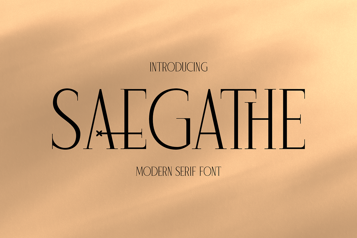 Saegathe Modern Serif Font, a Serif Font by Storytype Studio (Photo 1 of 15)