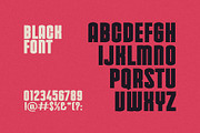 Black Modern Sans Serif Font, a Sans Serif Font by Perfectype (Thumbnail 2 of 10)