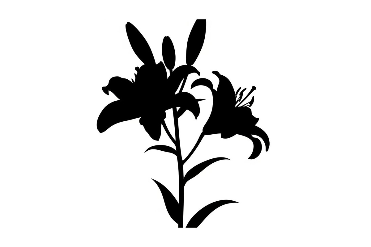 Black Lily Flower Vector Bundle, an Illustration by Designs_River (Photo 10 of 51)