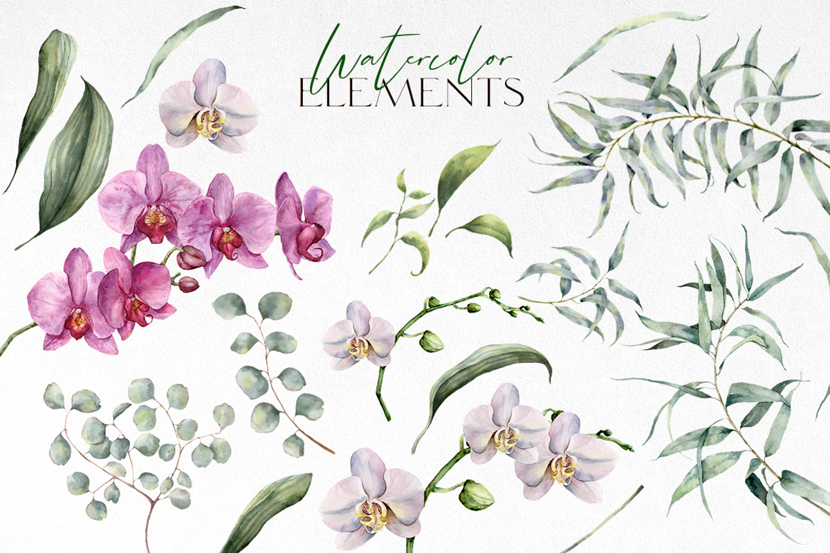 Orchid Watercolor flowers clipart, an Illustration by Yuliya Derbisheva (Photo 6 of 10)