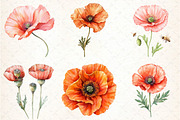 Flowers Clipart Poppy Flowers, an Illustration by DreamCafeArt (Thumbnail 4 of 7)