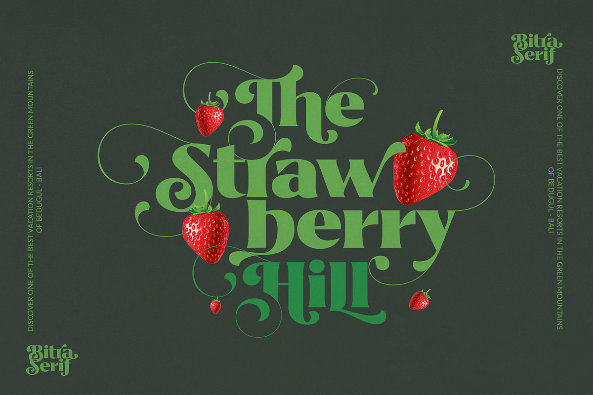 Bitra - Beauty Serif Family, a Serif Font by creativemedialab (Photo 4 of 17)