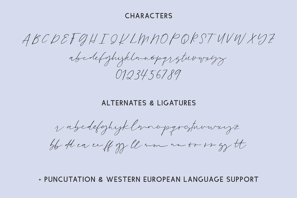 Goodspring Script, a Script Font by Beck McCormick (Photo 10 of 10)