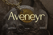 Aveneyr Versatile Typeface Font