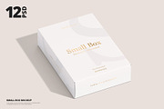 Small Box Mockup, a Packaging Mockup by WebAndCat (Thumbnail 1 of 40)