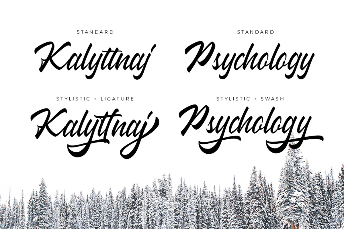 Wakanda Script Business Font preview 3