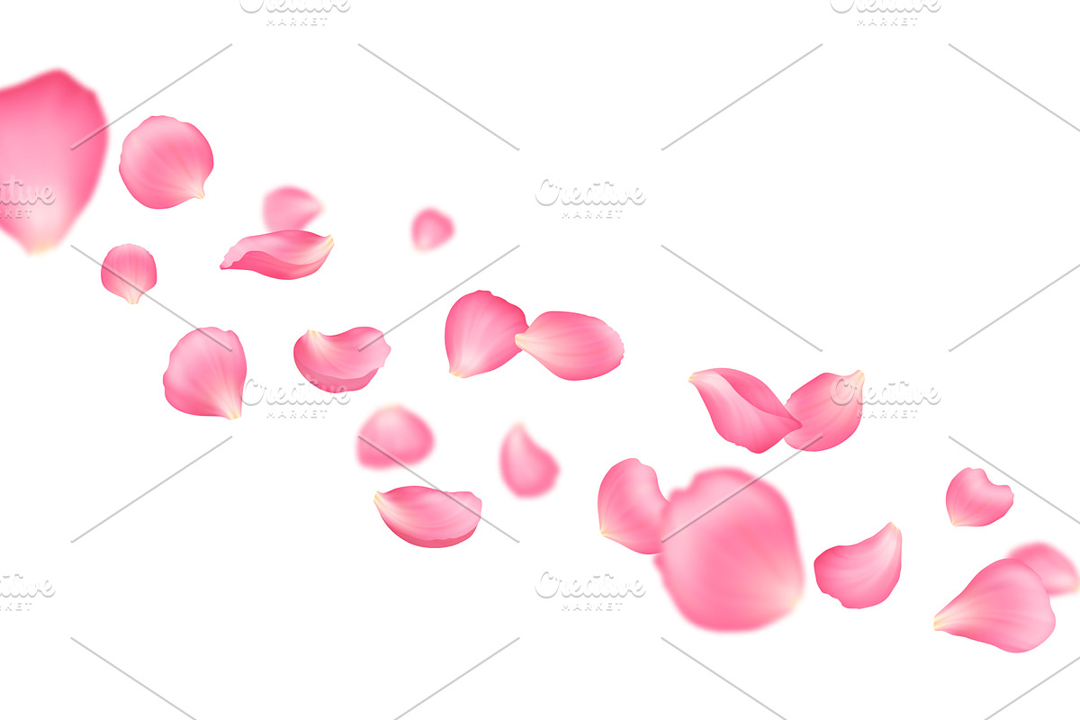 Flying pink rose, sakura petals, an Object Illustration by Vector Tradition