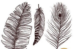 Hand Drawn Feathers Set