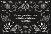Hand-drawn Vector Skull Illustration, an Animal Illustration by Galaxybomb (Thumbnail 3 of 3)