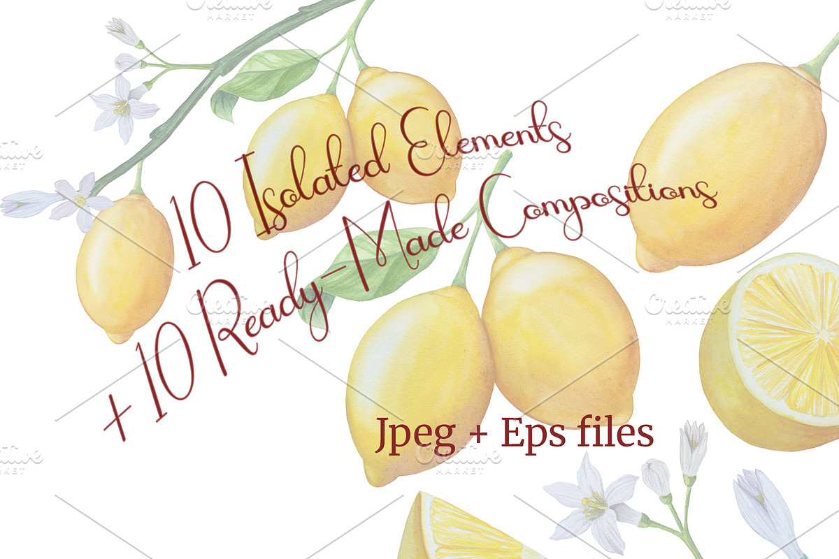 Botanical Style Lemon Illustrations, a Food Illustration by Milla_Zelenyuk_art (Photo 2 of 3)
