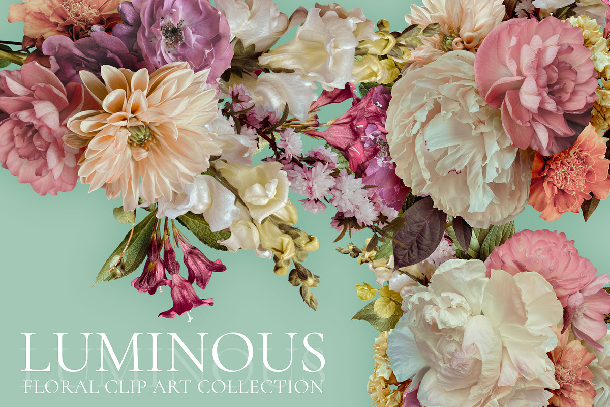 Luminous Floral Clip Art Collection, an Object Graphic by Eclectic Anthology (Photo 1 of 16)