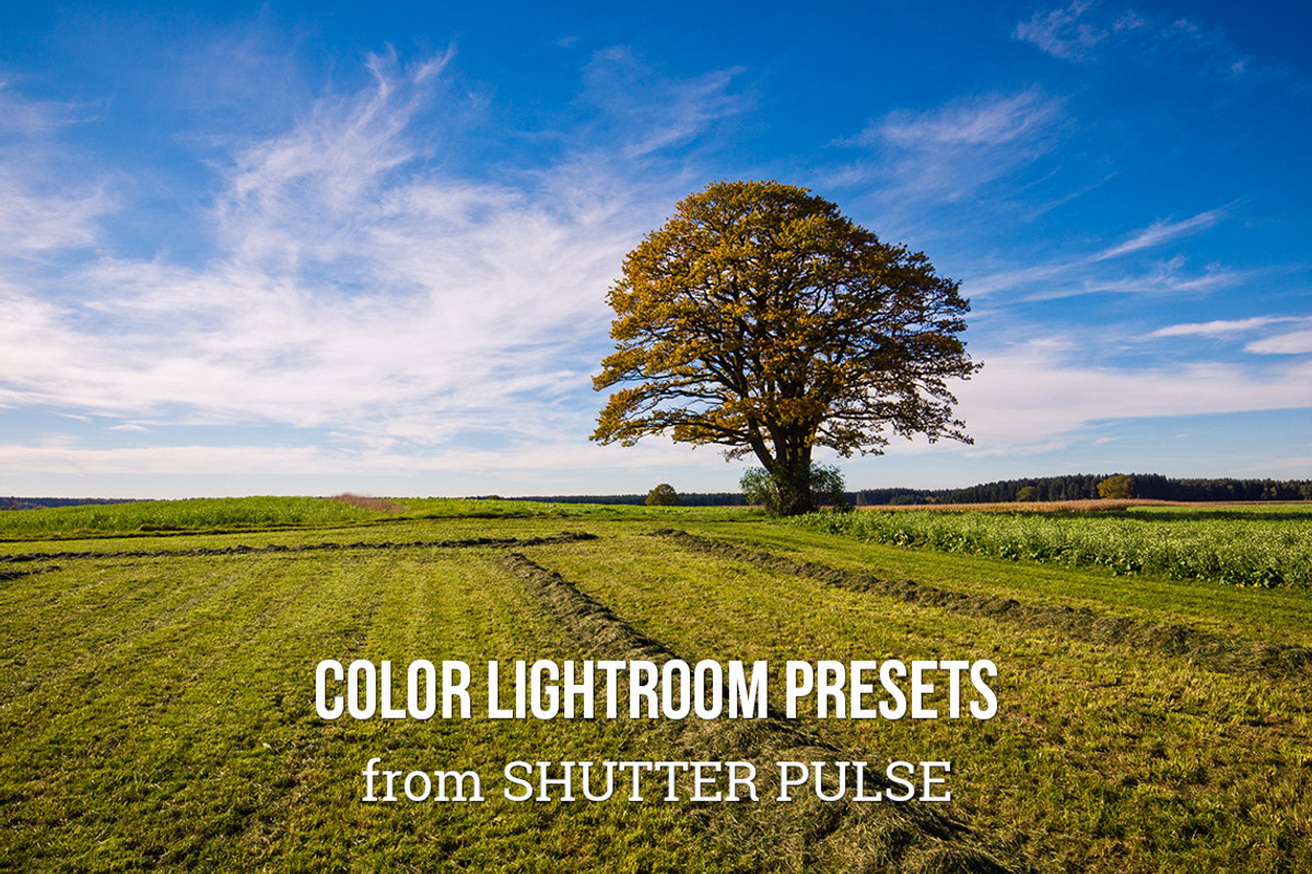 Color Lightroom Presets, an Action Add-On by Shutter Pulse (Photo 1 of 2)
