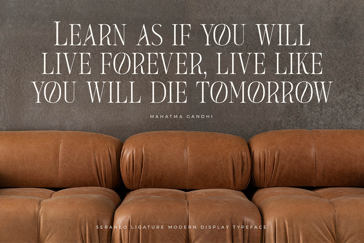 Seraneo Modern Display Typeface, a Serif Font by Letterena Studios (Photo 8 of 15)