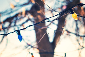 Christmas magic containing christmas, christmas lights, and lights
