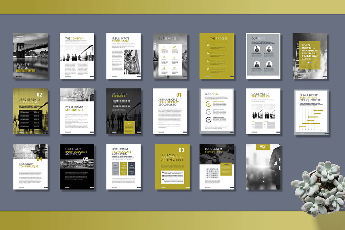 Business Profile E-Book Layout, a Templates & Theme by R-studio (Photo 8 of 10)