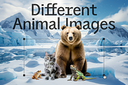 Animal Collage Creator, an Animal Photo by Salih Kizilkaya (Thumbnail 3 of 5)