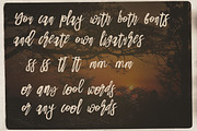 Danica Tribute Brush & SVG Font, a Script Font by Cruzine (Thumbnail 11 of 14)