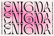 TAN - ENIGMA, a Serif Font by TanType (Thumbnail 1 of 16)
