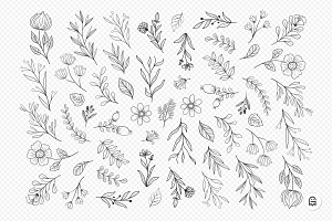 Wild Flower Illustrations 2