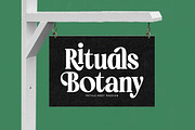 Ordinal Modern Display Serif Font, a Serif Font by timelesstype.co (Thumbnail 13 of 20)