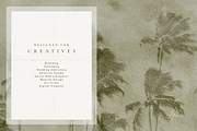 Organic Textured Backgrounds, a Background Graphic by Altea Design Studio (Thumbnail 18 of 20)