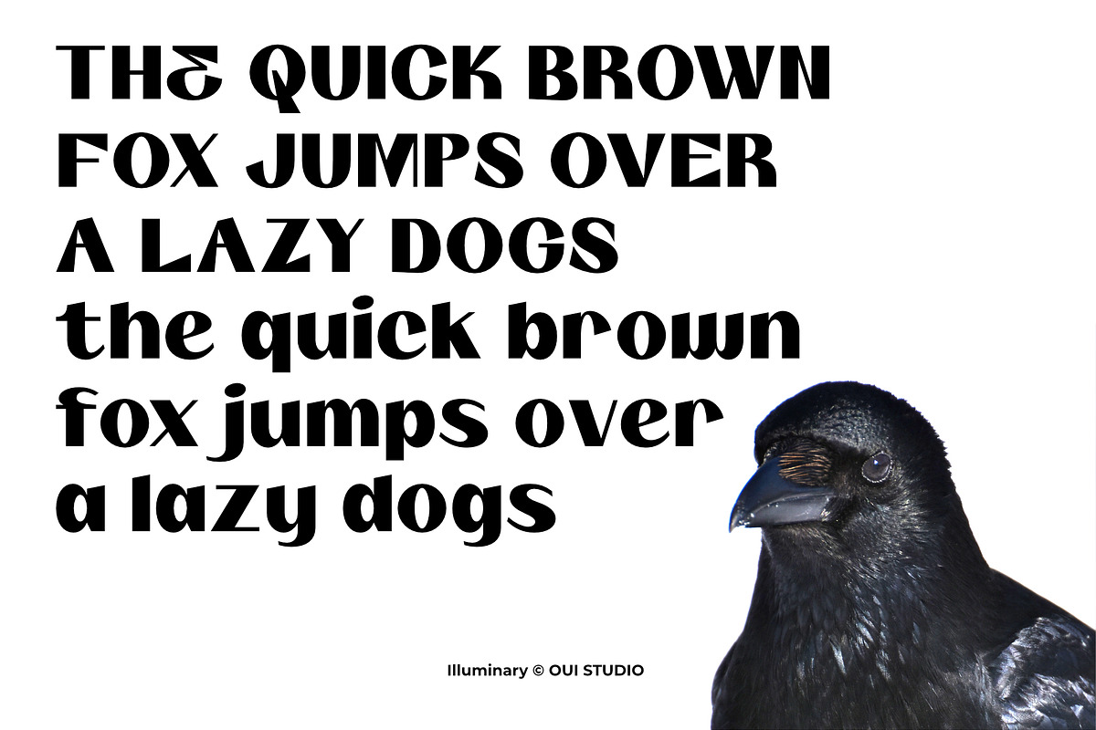 Illuminary Modern Sans Serif, a Sans Serif Font by Oui Studio (Photo 4 of 10)
