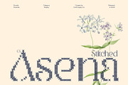 CS Asena Stitched, a Serif Font by Craft Supply Co. (Thumbnail 1 of 8)