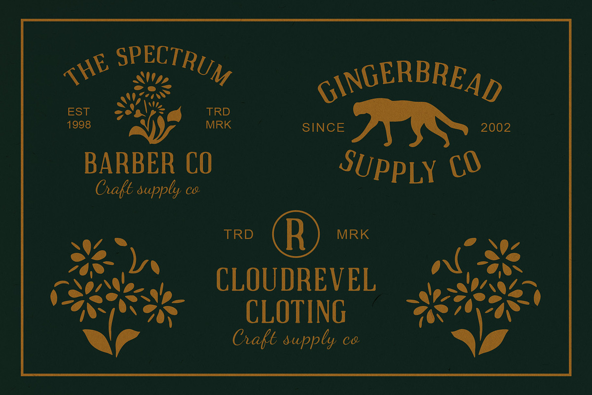 Acelon Blur, a Serif Font by Craft Supply Co. (Photo 2 of 8)