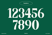 Amerta Elegant Serif Font, a Serif Font by GRVS Studio (Thumbnail 4 of 7)