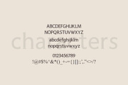 The Modern Serif Font Bundle, a Serif Font by Design 265 (Thumbnail 27 of 33)