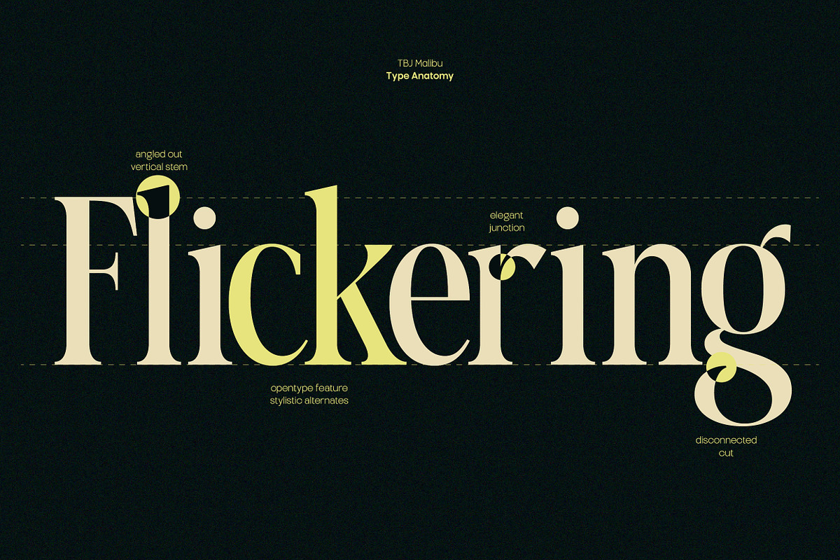 TBJ Malibu Condensed Display Font, a Serif Font by Taboja Studio (Photo 7 of 22)