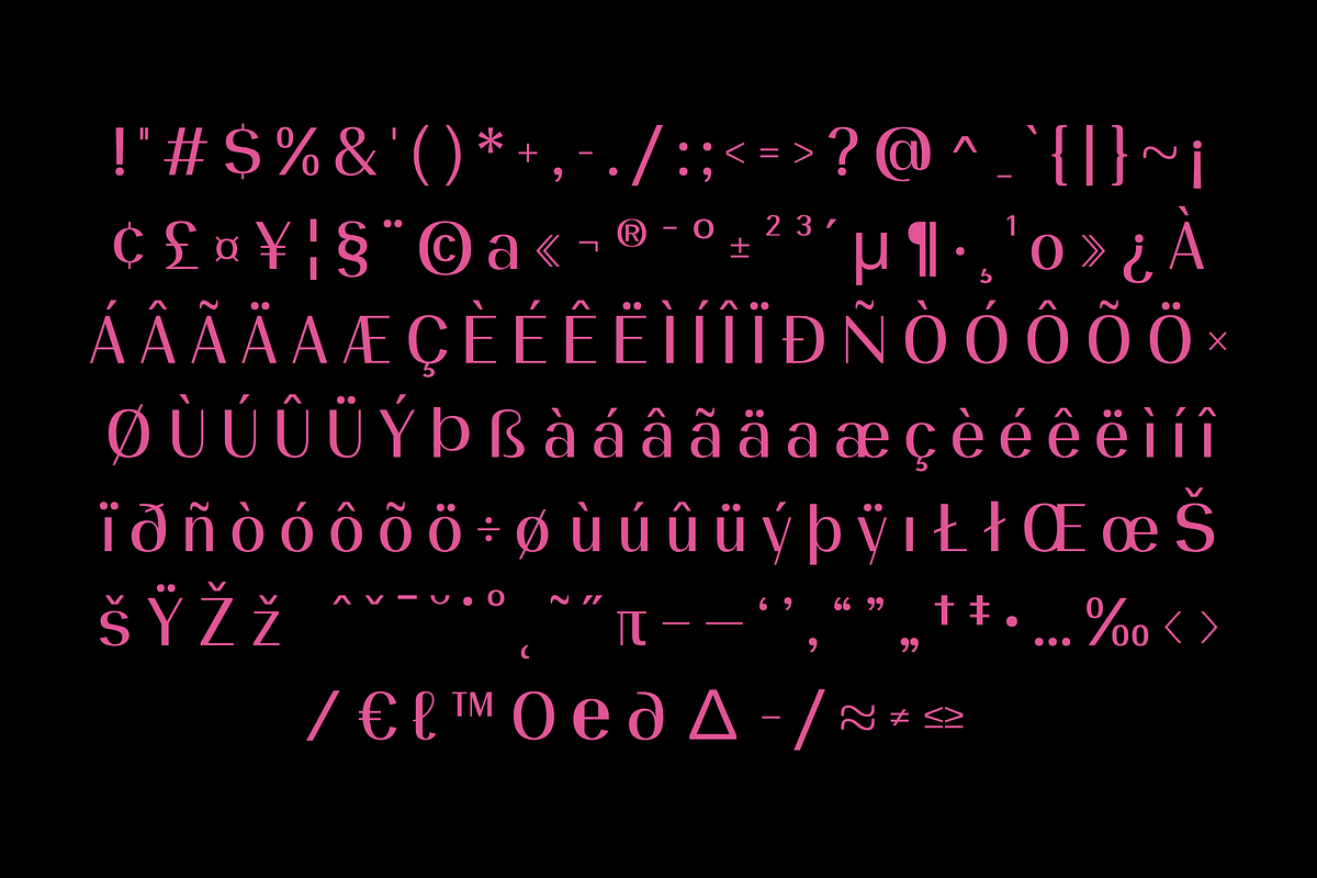 Civika, a Sans Serif Font by BiancaXavier (Photo 7 of 9)