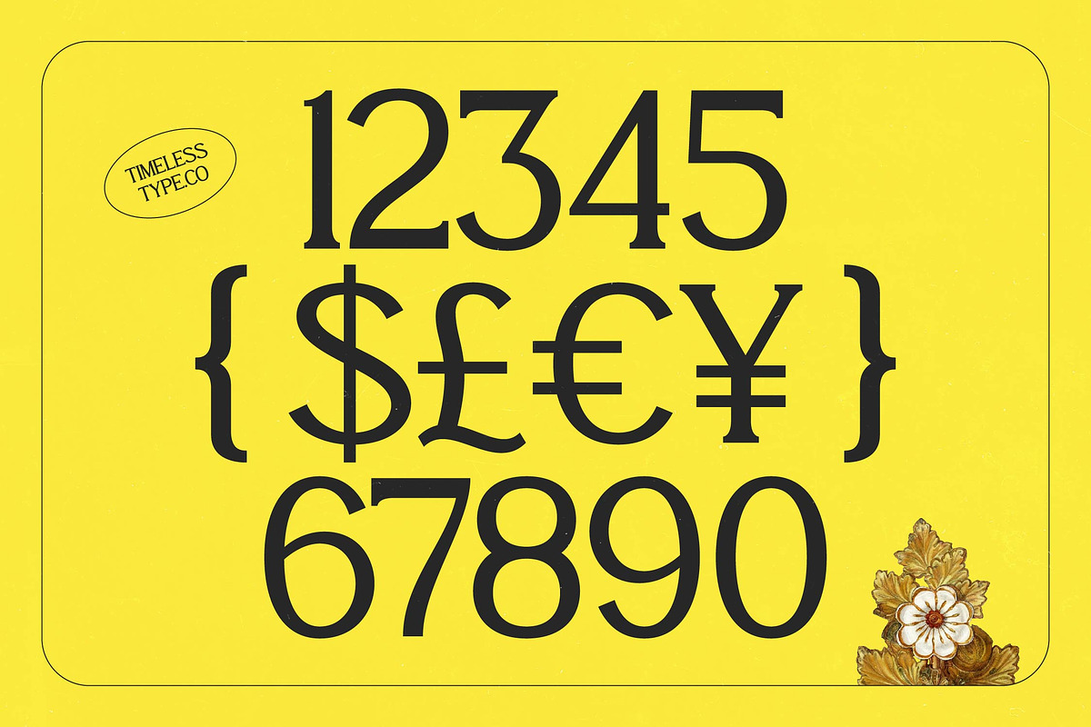 Enkyfa Serif Display Typeface, a Serif Font by timelesstype.co (Photo 8 of 15)