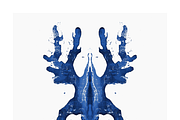 Tona Co. Totemic Cyanotype Inkblots, an Animal Illustration by milatovar (Thumbnail 8 of 19)