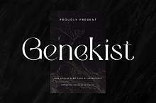 Genekist - Serif Font