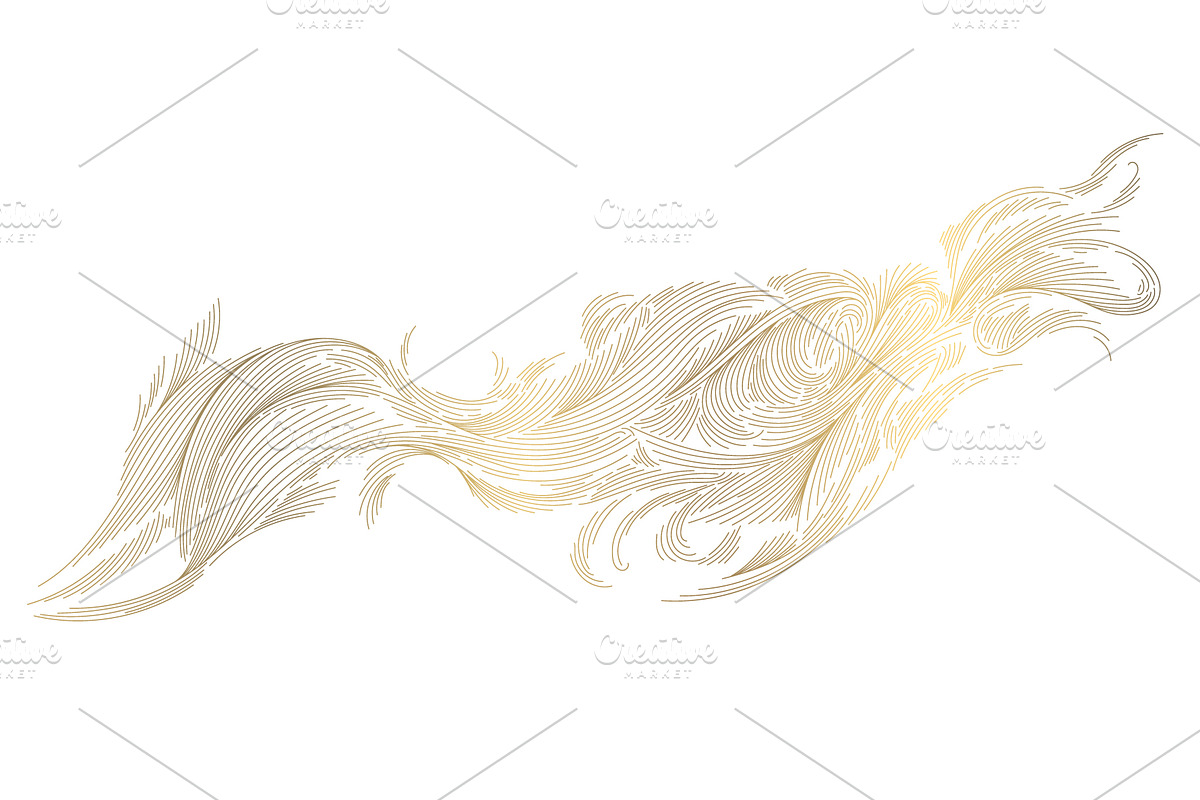 Elegant Nature Patterns, a Pattern Graphic by Marylia (Photo 20 of 30)