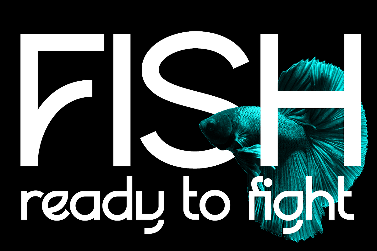 Paggoda, a Sans Serif Font by Haksen (Photo 7 of 8)