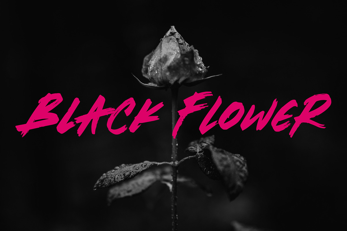 Brotherhood - Brush Script Font, a Handwritten Font by Rometheme Std (Photo 7 of 12)
