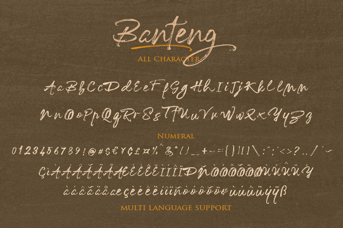 Banteng script, a Script Font by ALIVECREATIVE (Photo 3 of 4)
