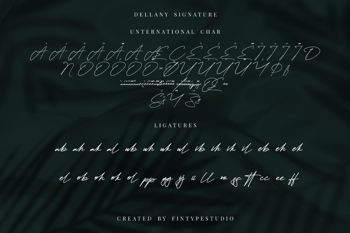 Dellany Signature Business Font, a Script Font by KennedyStudio (Photo 7 of 9)