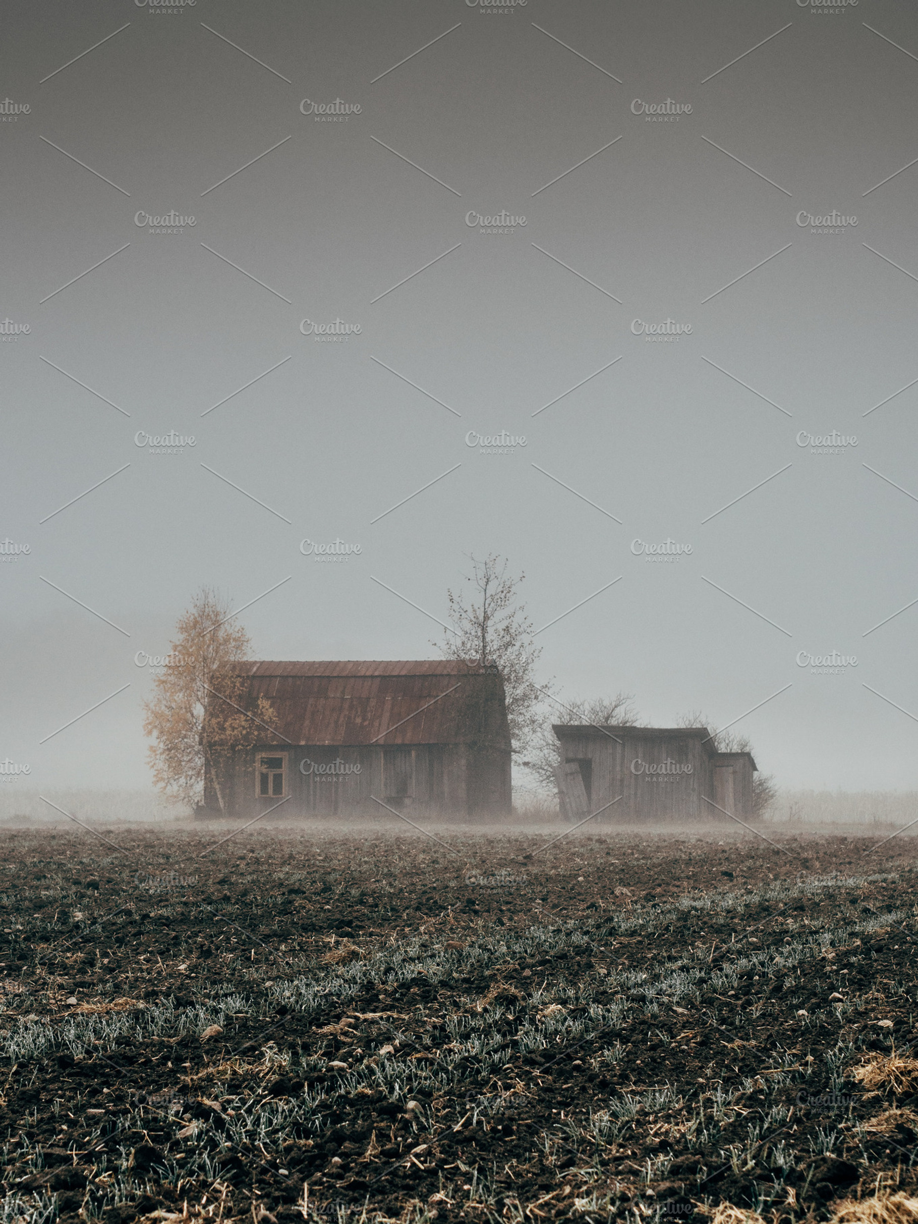 Foggy field stock photo containing farm and field, a Nature Photo by Pawel Kadysz
