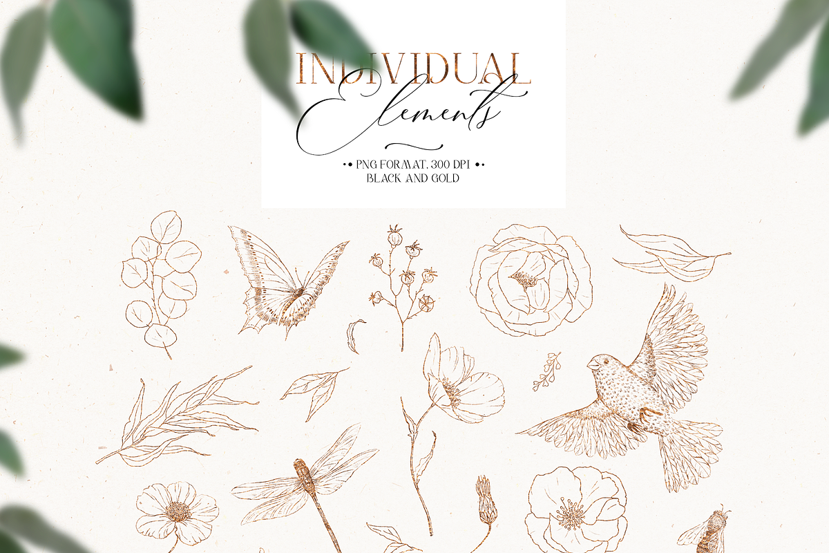 Flower field - line art floral set, a Decorative Illustration by Pamyatka Shop (Photo 11 of 11)