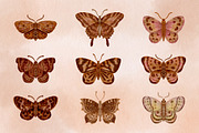 Watercolor Butterflies and Moths, an Object Graphic by Tiger and Flower (Thumbnail 6 of 17)
