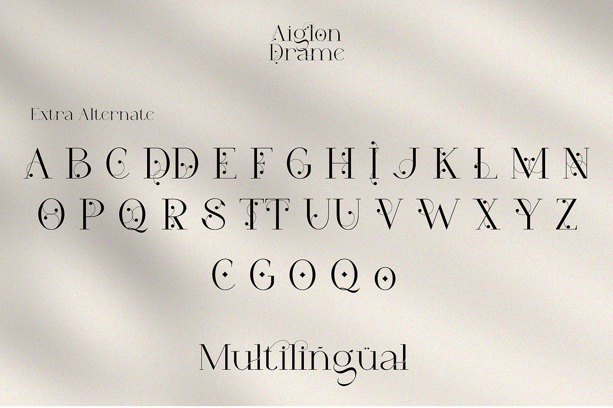 Aiglon Drame - Modern Ligature Serif, a Serif Font by erlosDESIGN (Photo 13 of 13)